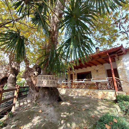 Guesthouse Platon Órma Kültér fotó