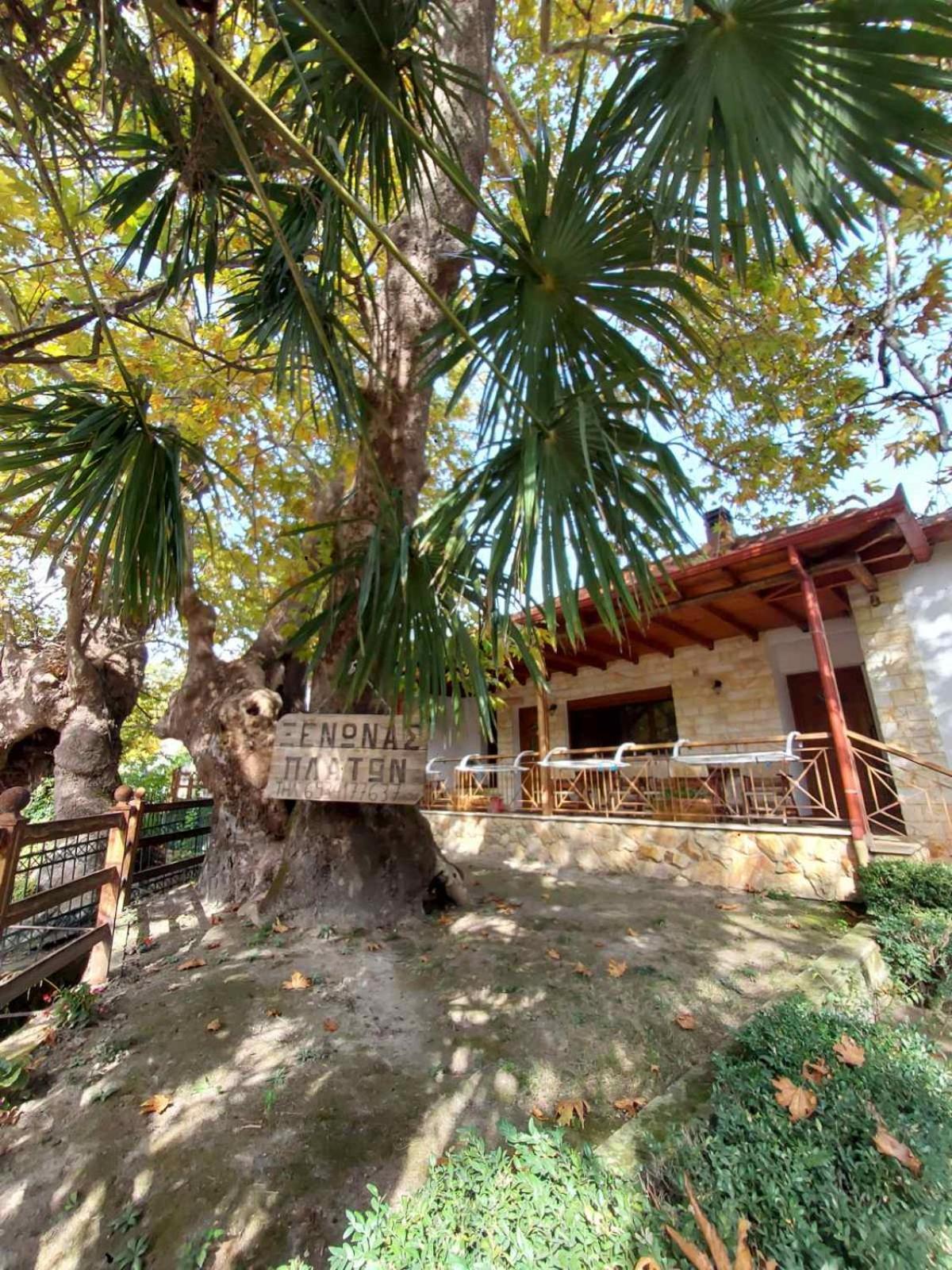 Guesthouse Platon Órma Kültér fotó