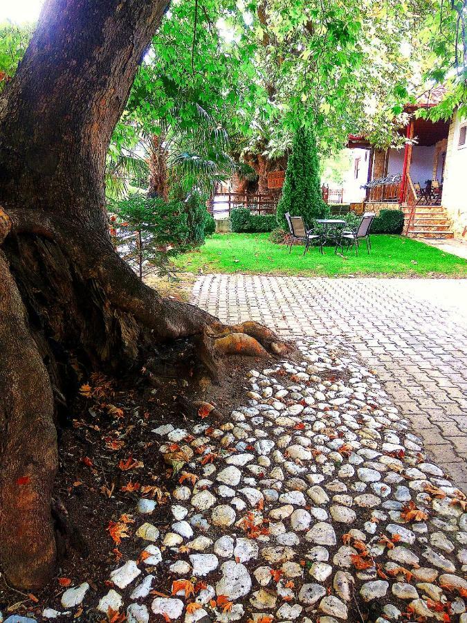 Guesthouse Platon Órma Kültér fotó